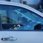 MAZDA BT-50 Left Front Door Window Glass UP UR DUAL CAB 2011-2020